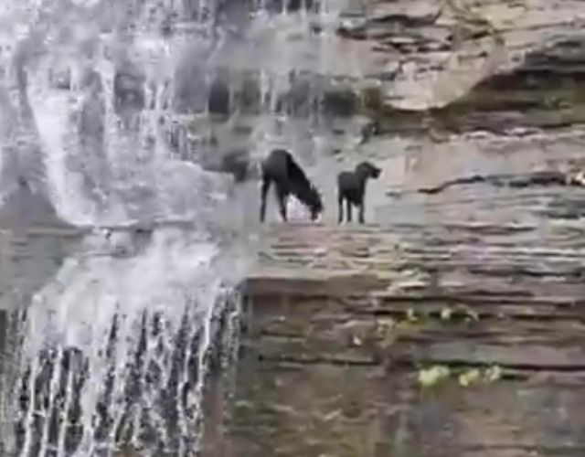 waterfall rescue