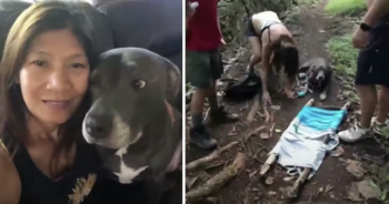 Boy Scout Saves Couple and Dog