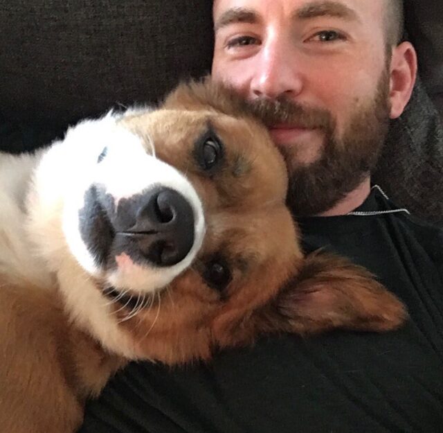Chris Evans Cuddling with His Dog