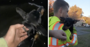 Man saves dog from river