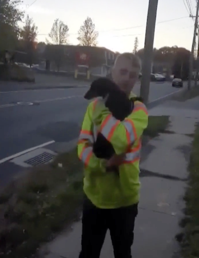 Man carrying trembling dog