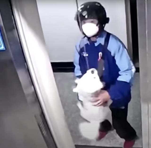 Man finds dog on elevator