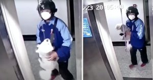 Man saves dog from elevator