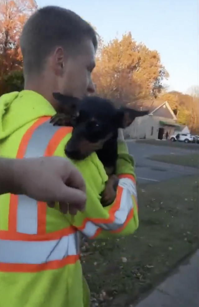 Man saves freezing dog