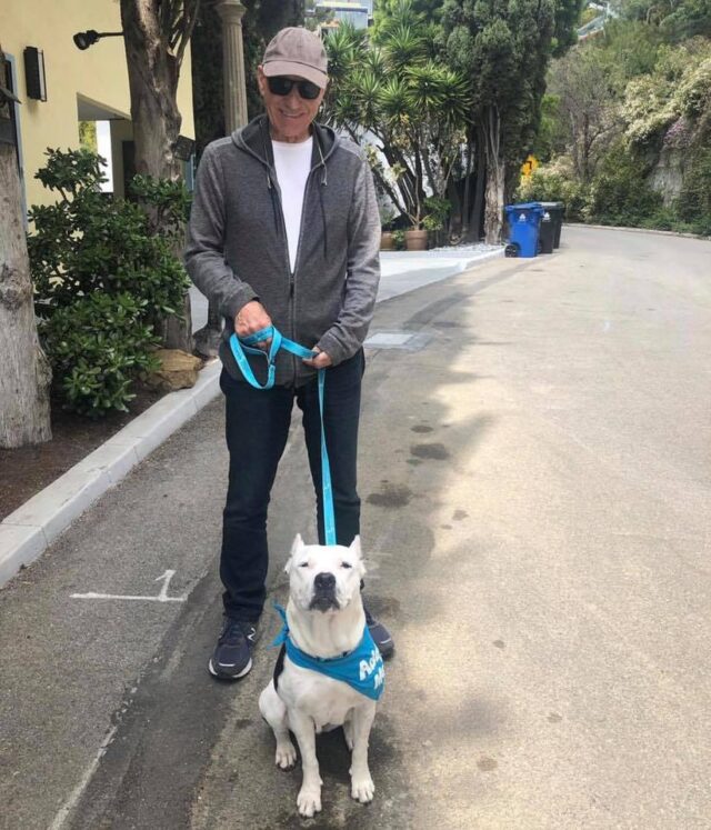 Patrick Stewart Walking Foster Dog