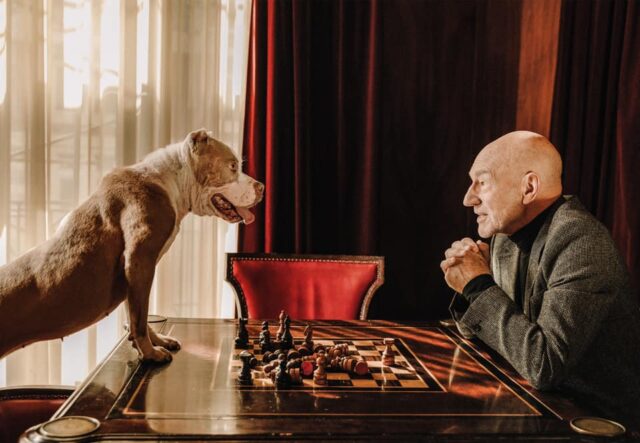 Patrick Stewart playing chess with Pit Bull