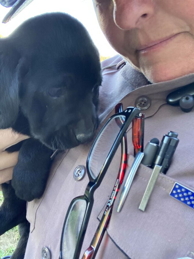 Trooper holding puppy