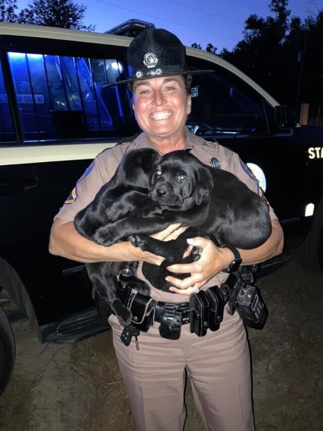 Trooper Holding Rescued Puppies