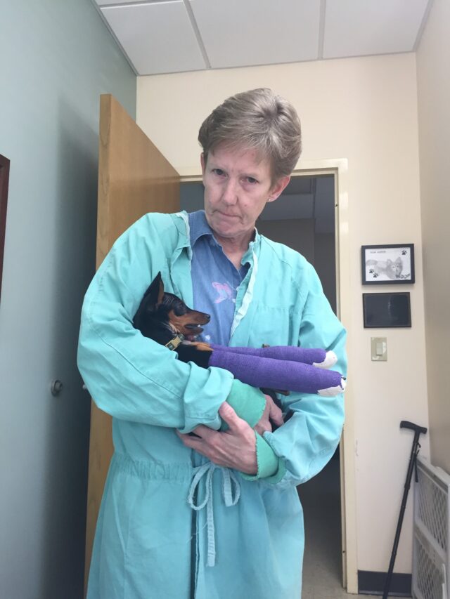 Vet holding dog with broken legs