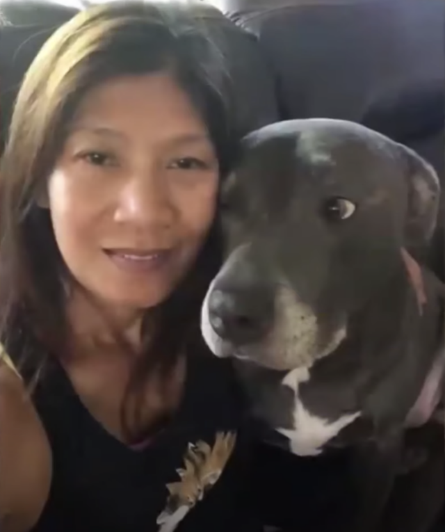 Woman and 100-pound Pit Bull