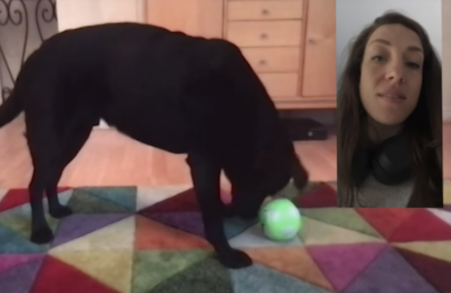 Woman and dog video chat