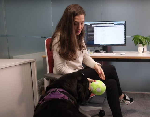 Woman introducing dogphone to dog