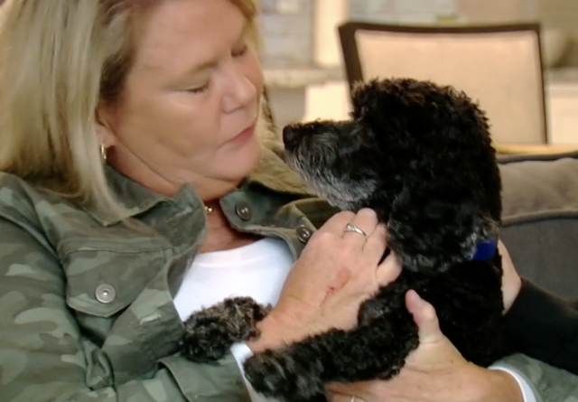 Woman kisses paralyzed dog