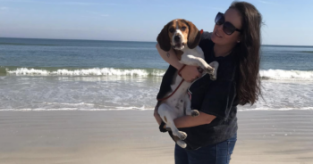 Beagle travels 1,000 miles