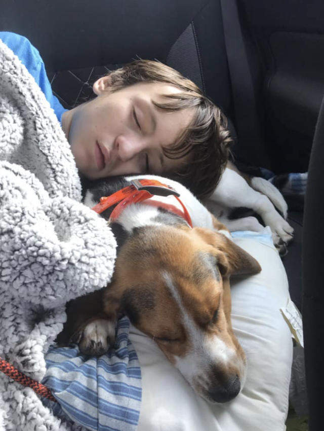 Boy cuddling with sleeping Beagle