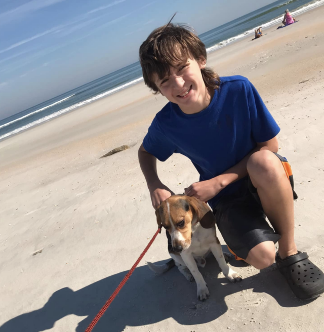 Boy reunited with Beagle