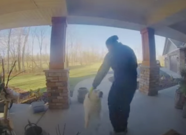 Delivery driver petting dog