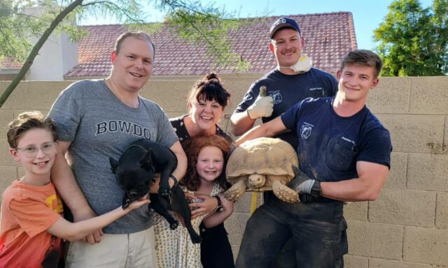Family reunited with dog and tortoise