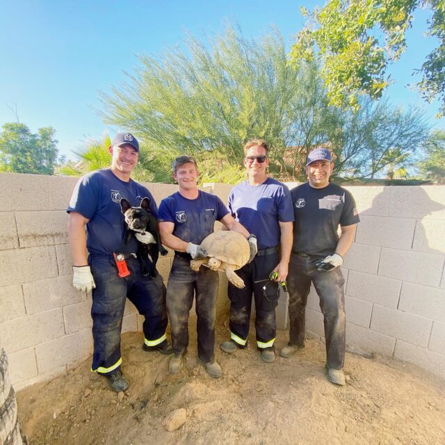 Firefighters rescue dog and tortoise