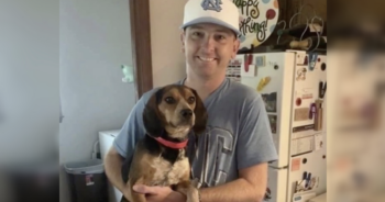 Lost Beagle's human died