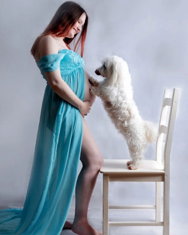 Maternity Photo with Dog