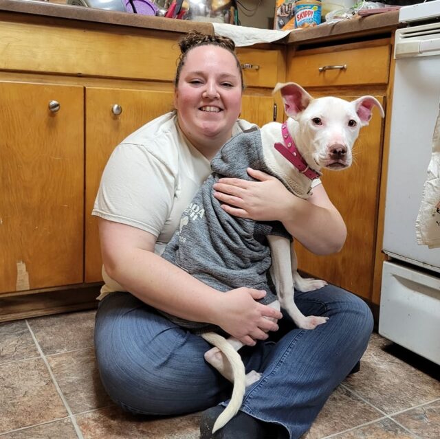 Neglected Pit Bull with Foster Mom
