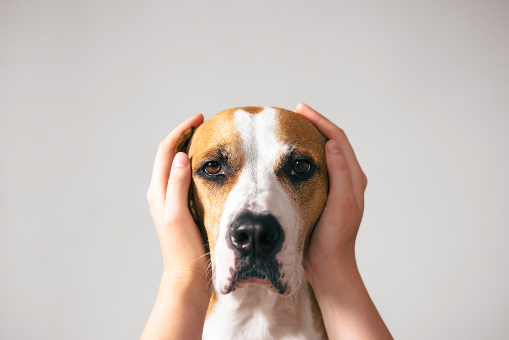 Keyring Keep Calm And Love Your Beagle