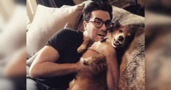 Dan Levy's Dog Dies