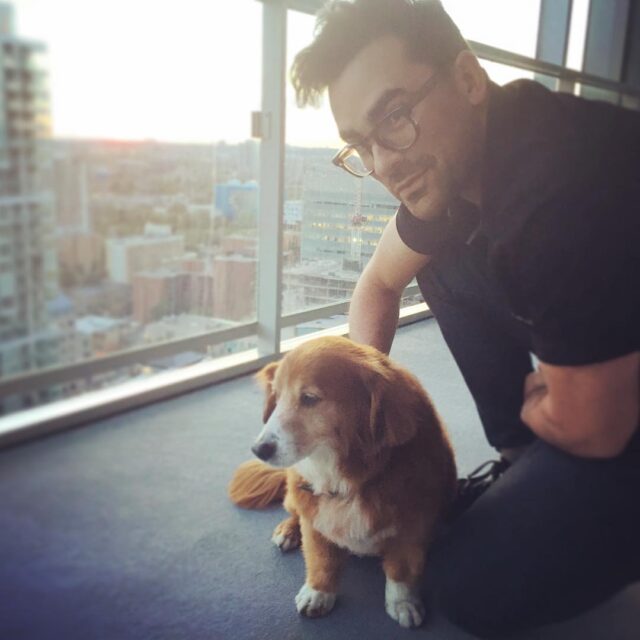 Dan Levy and Redmond the dog