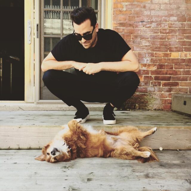 Dan Levy and dog laying on back