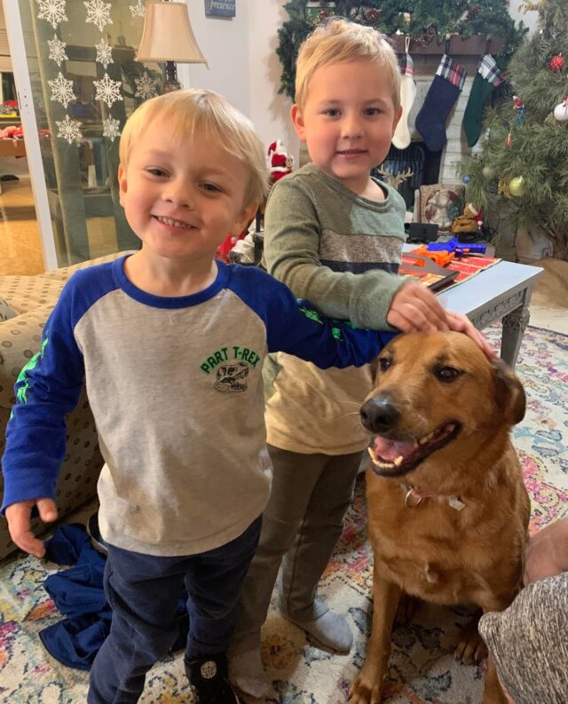 Dog and kids reunited