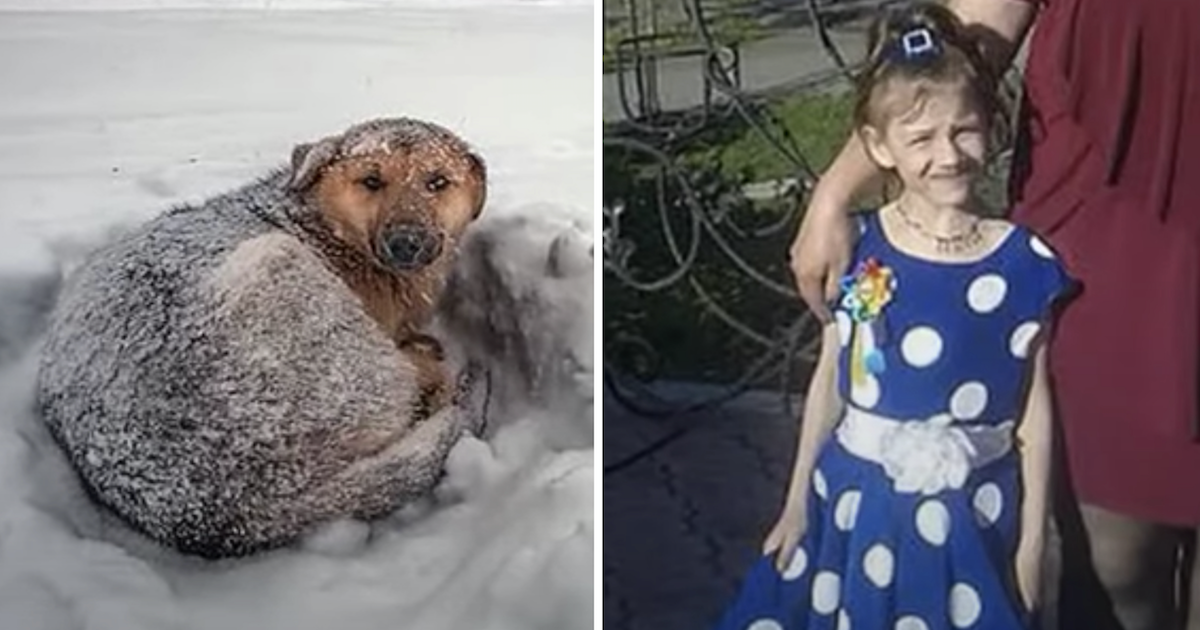 Lost 10-Year-Old Girl Survives Intense Blizzard By Hugging Stray Dog