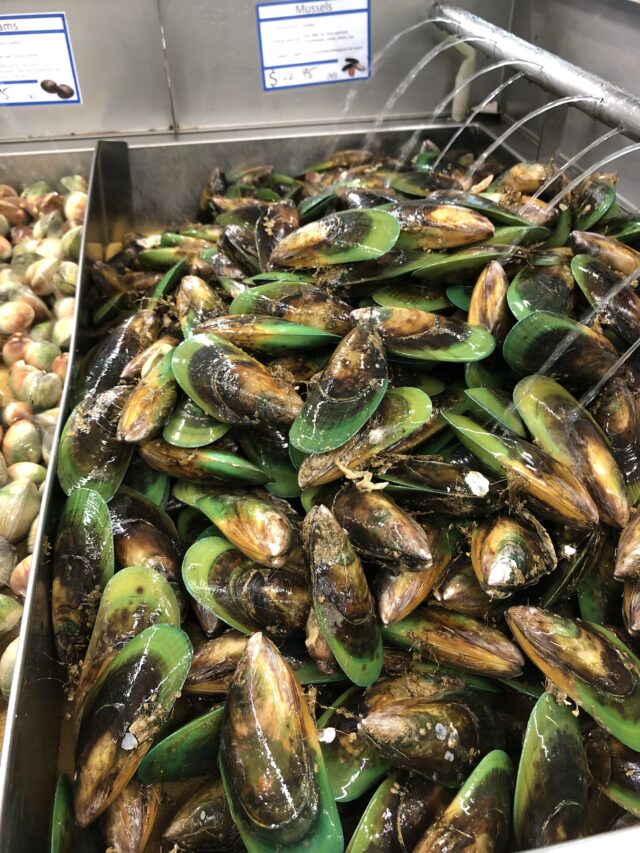 Green lipped mussels being cleaned