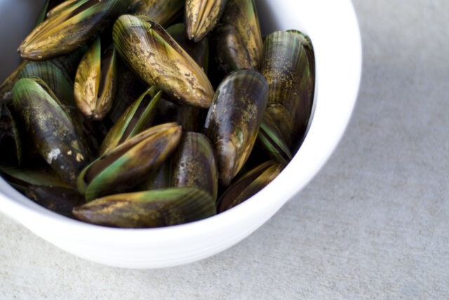 Green lipped mussels in bowl