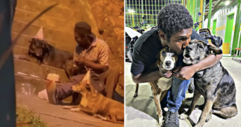 Homeless Man Throws Dog Birthday Party