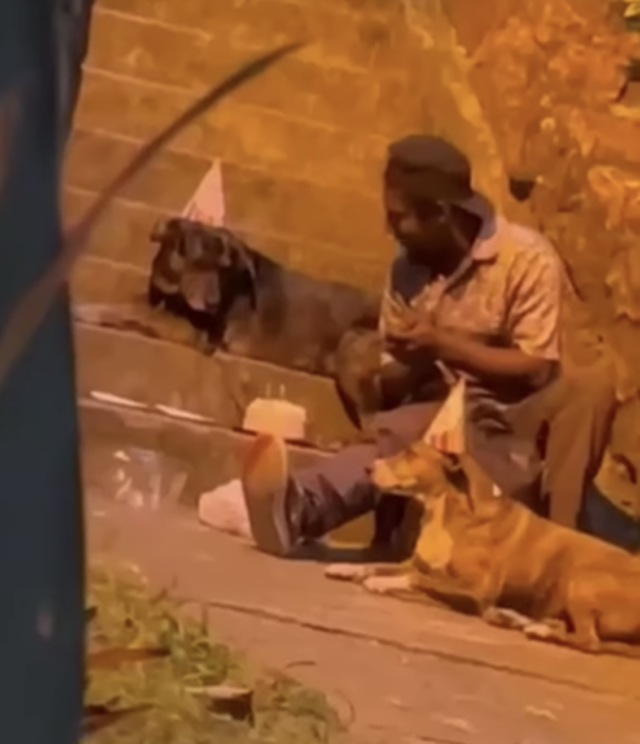 Homeless man dog birthday party