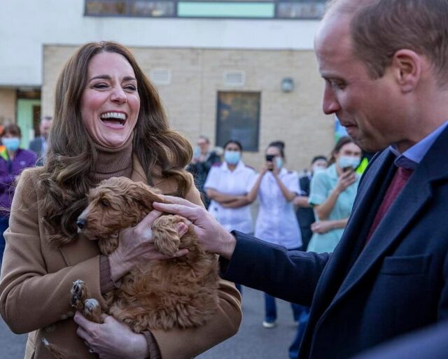 Kate Middleton with therapy puppy