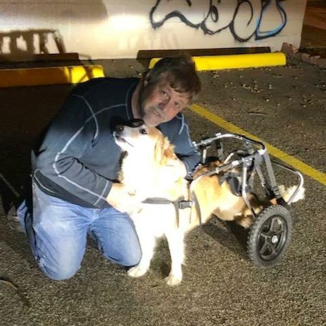 Man and disabled dog reunited
