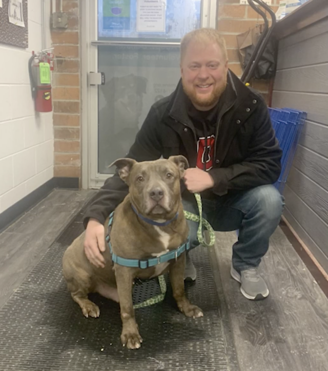 Pit Bull mix gets adopted