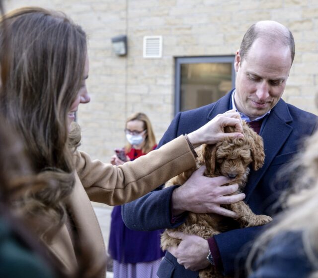 Prince William holds puppy