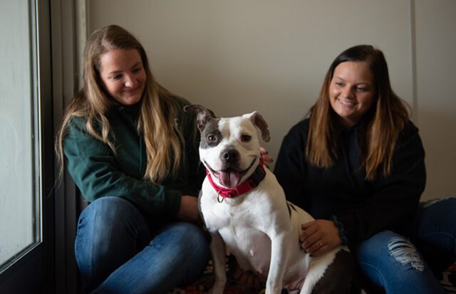 Volunteers traveling with dog