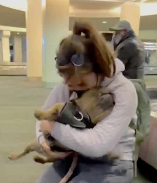 Woman reunited with Frenchie