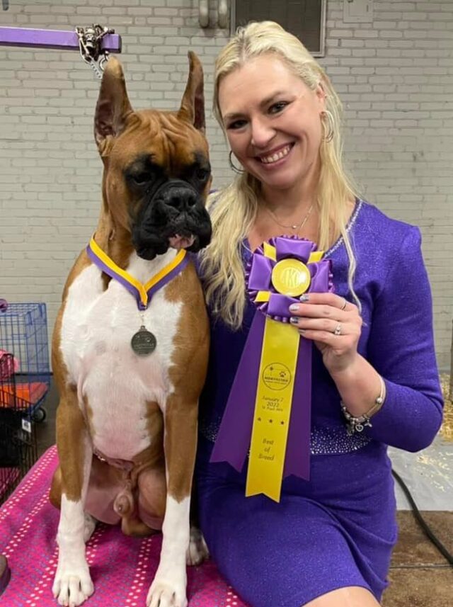 Woman and Boxer win dog show