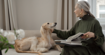 Woman caring for dog with joint pain