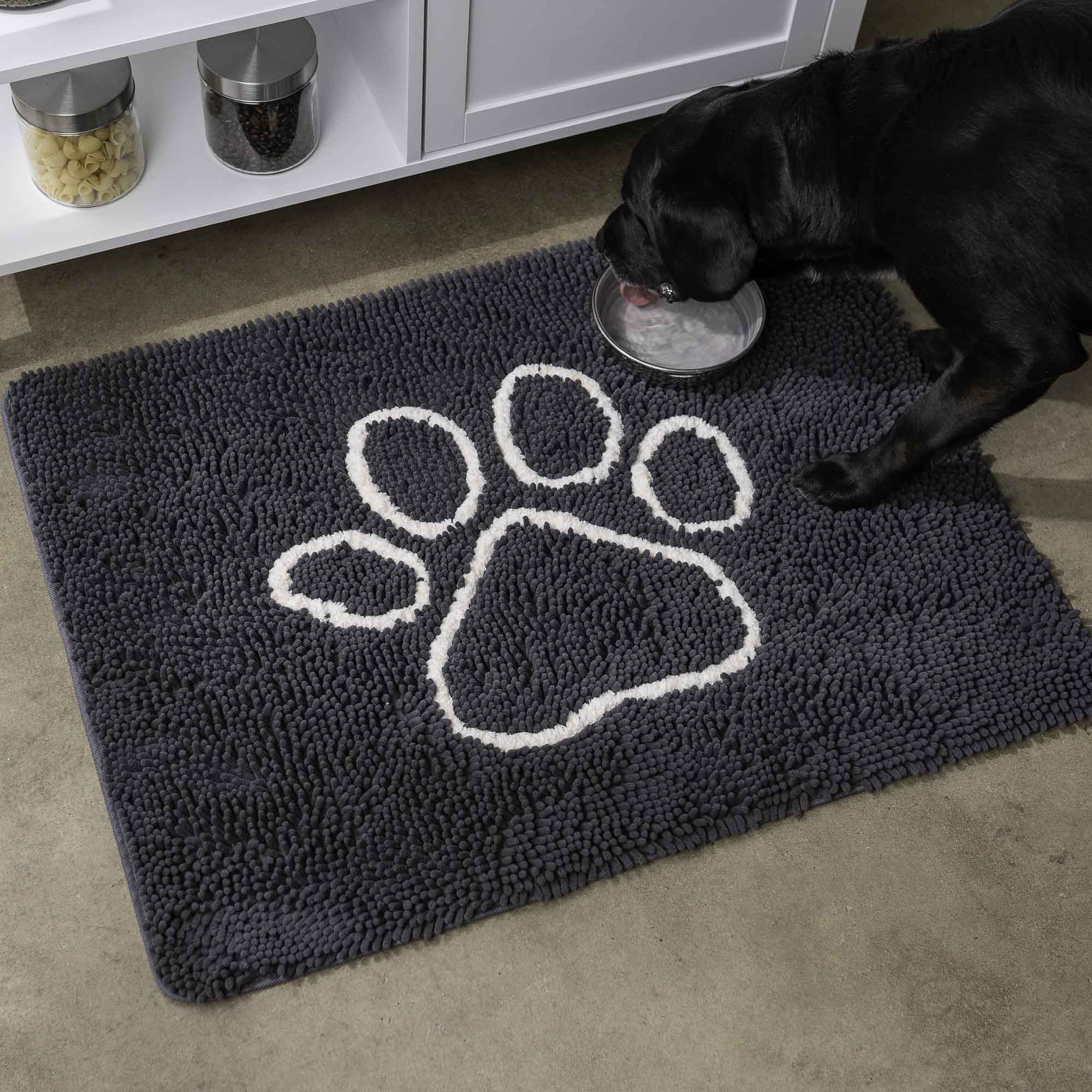 Best Absorbent Rug for Dogs 