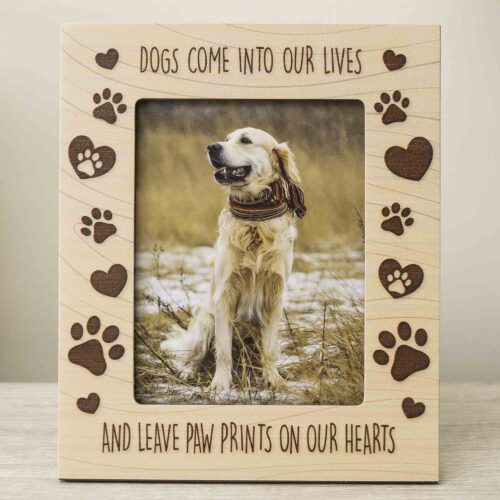 Dog Comes into Life and Leave Paw Prints on Our Hearts -Memorial Photo Frame 6"x 5"