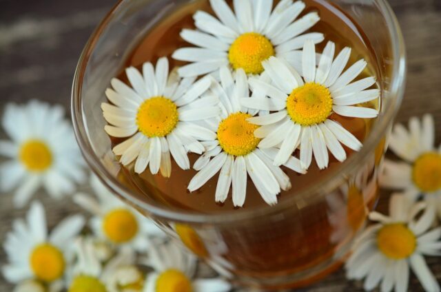 Chamomile flowers and tea
