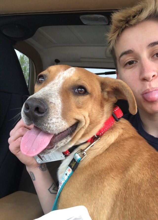 College student and rescue puppy