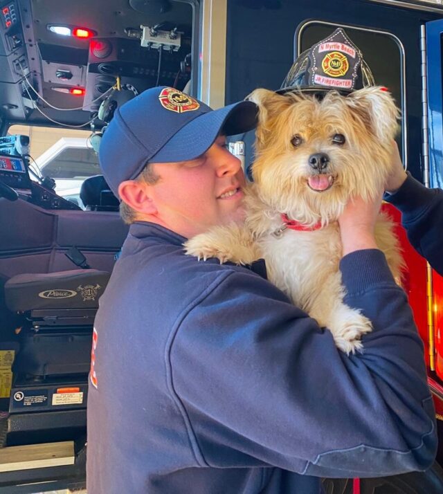 Dog becomes honorary firefighter