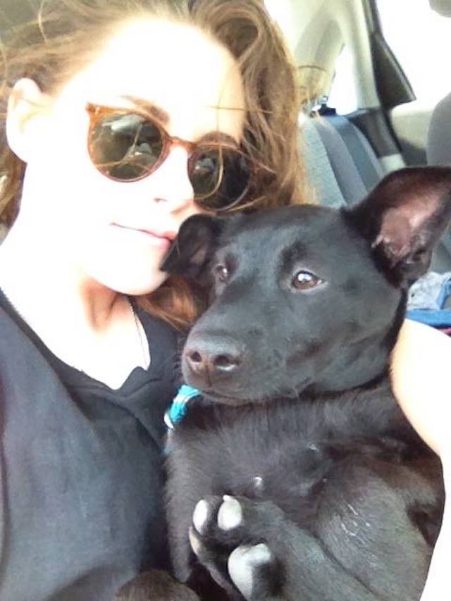 Kristen Stewart Holding Dog